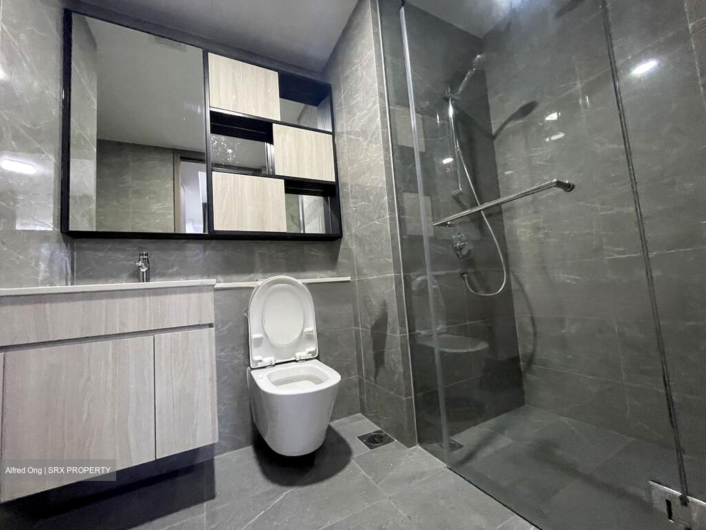 Kent Ridge Hill Residences (D5), Apartment #462070071